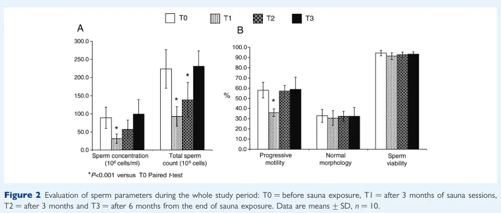 Decrease in Spermogenesis