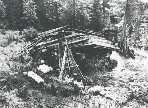 The Lykovs Cabin