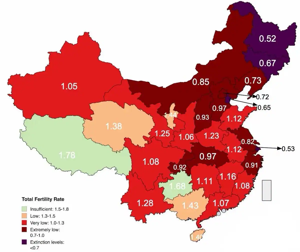 Chinese Fertility Rates
