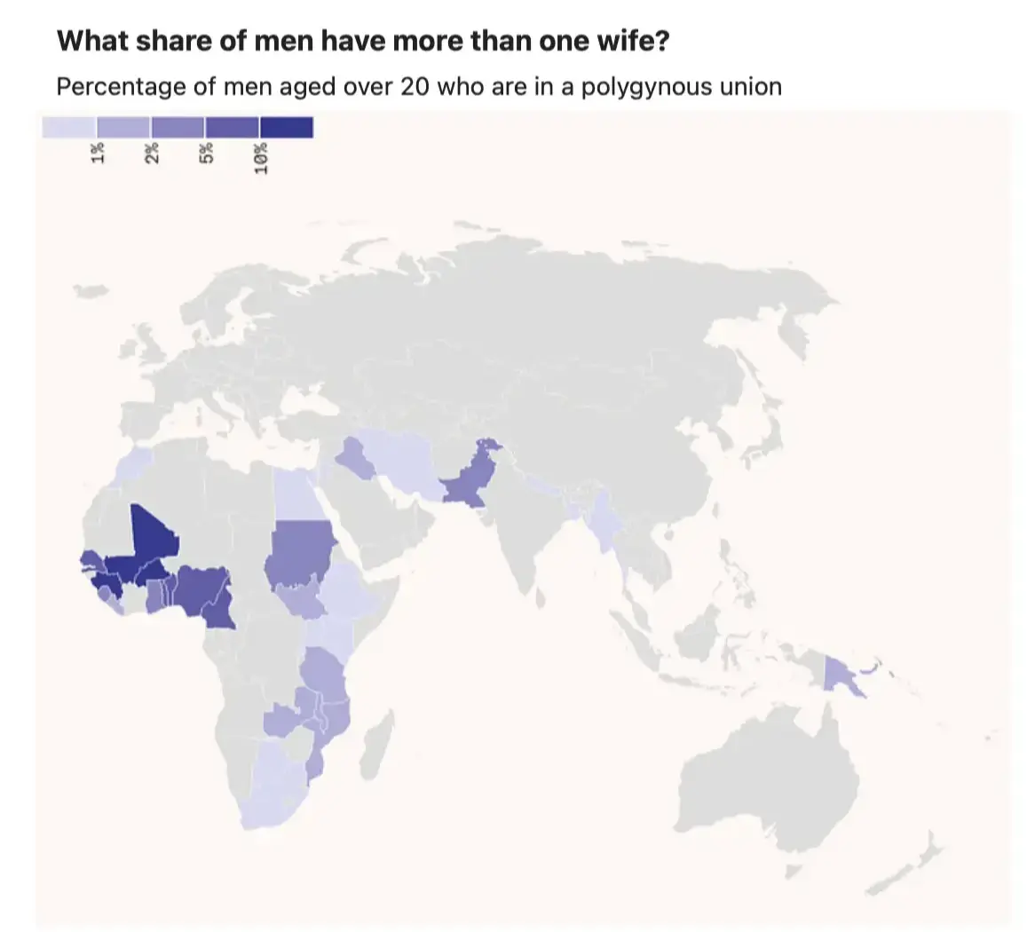 What share of men have more than one wife
