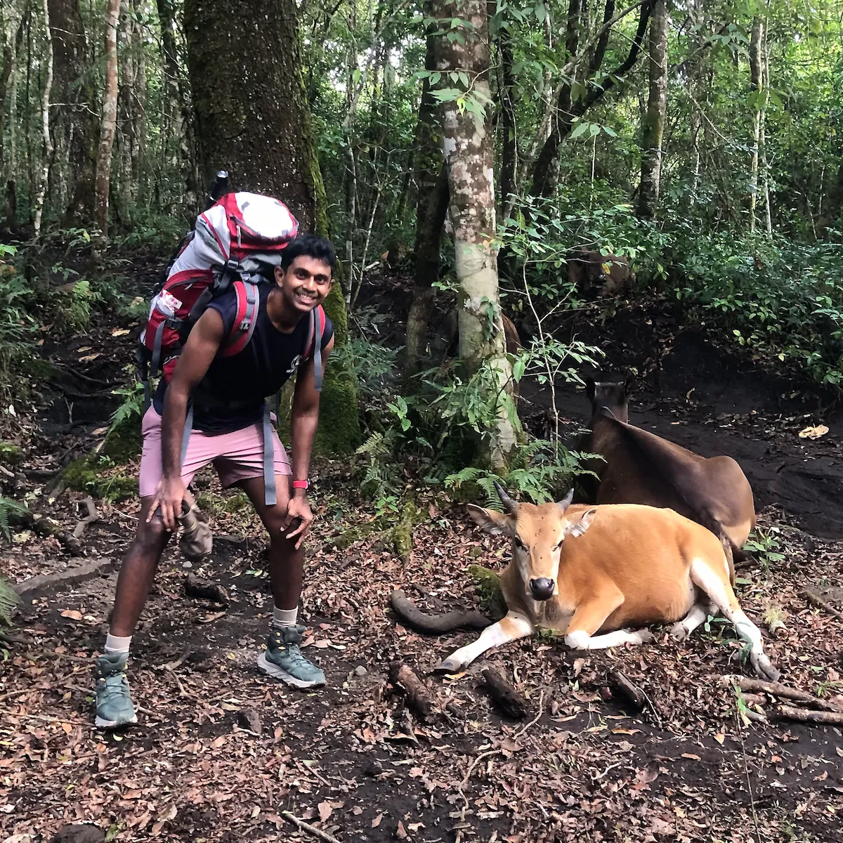 Hiking Mt Rinjani, 2023